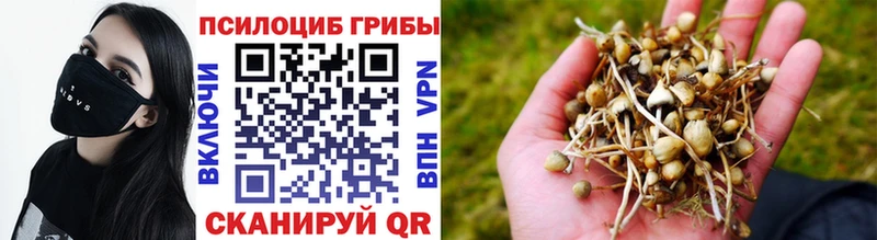 что такое   Чишмы  Псилоцибиновые грибы прущие грибы 